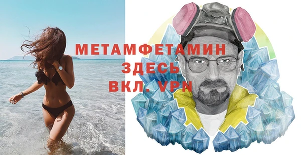 шишки Белоозёрский