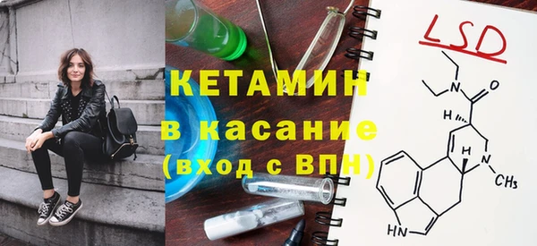 шишки Белоозёрский