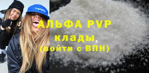 шишки Белоозёрский