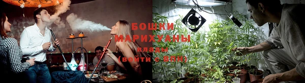 шишки Белоозёрский