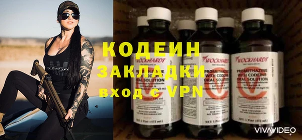 шишки Белоозёрский