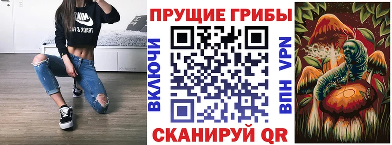 хочу наркоту  Малоярославец  Псилоцибиновые грибы прущие грибы 