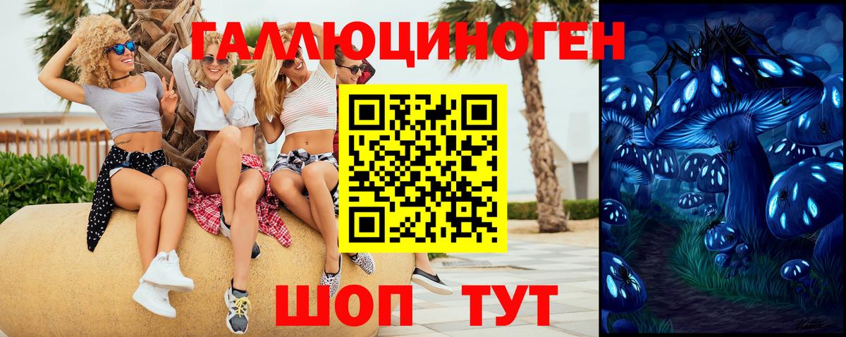 Галлюциногенные грибы мицелий  Вход с VPN  Малоярославец 